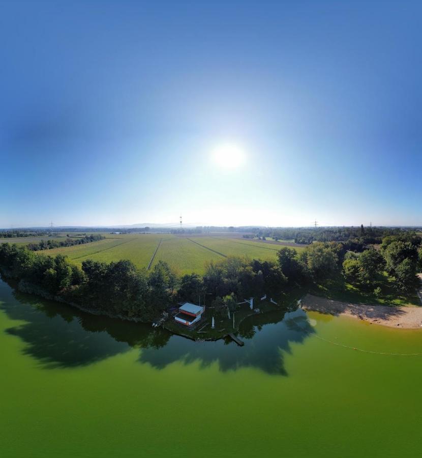 River View Near Frankfurt -- 3 Zimmer -- 4 Betten Und 1 Groesse Schlafcouch Hainburg Bagian luar foto
